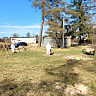 IMG-20260416-WA0004